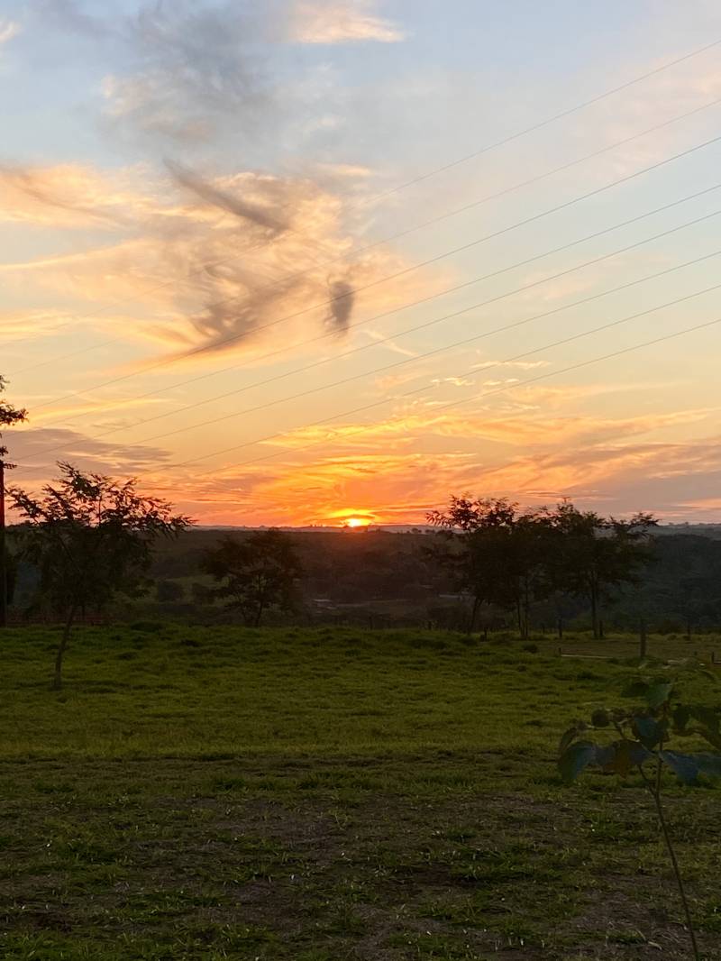 Terreno Rural em Excelente Localização